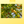 Load image into Gallery viewer, Lemon City - Explorer Hop

