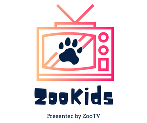 ZooKids presented by ZooTV - Explorer Hop