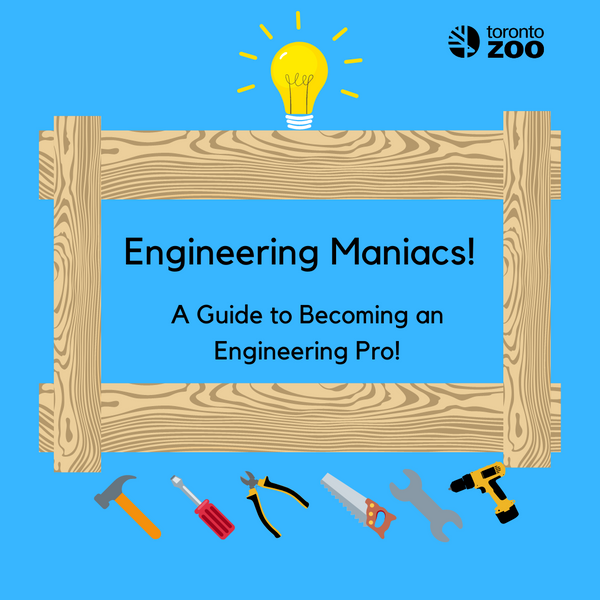 Engineering Maniacs!