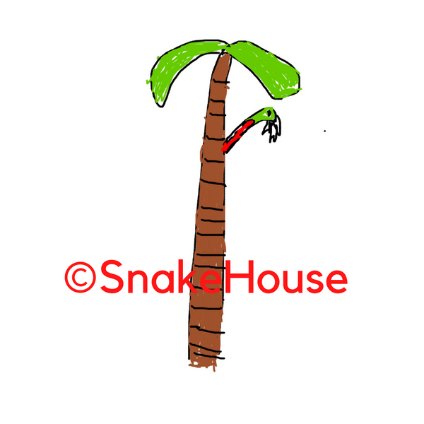 Snake House - Explorer Hop