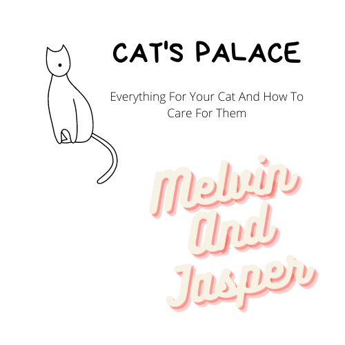 Cat's Palace