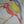 Load image into Gallery viewer, Diginimals: Parrot
